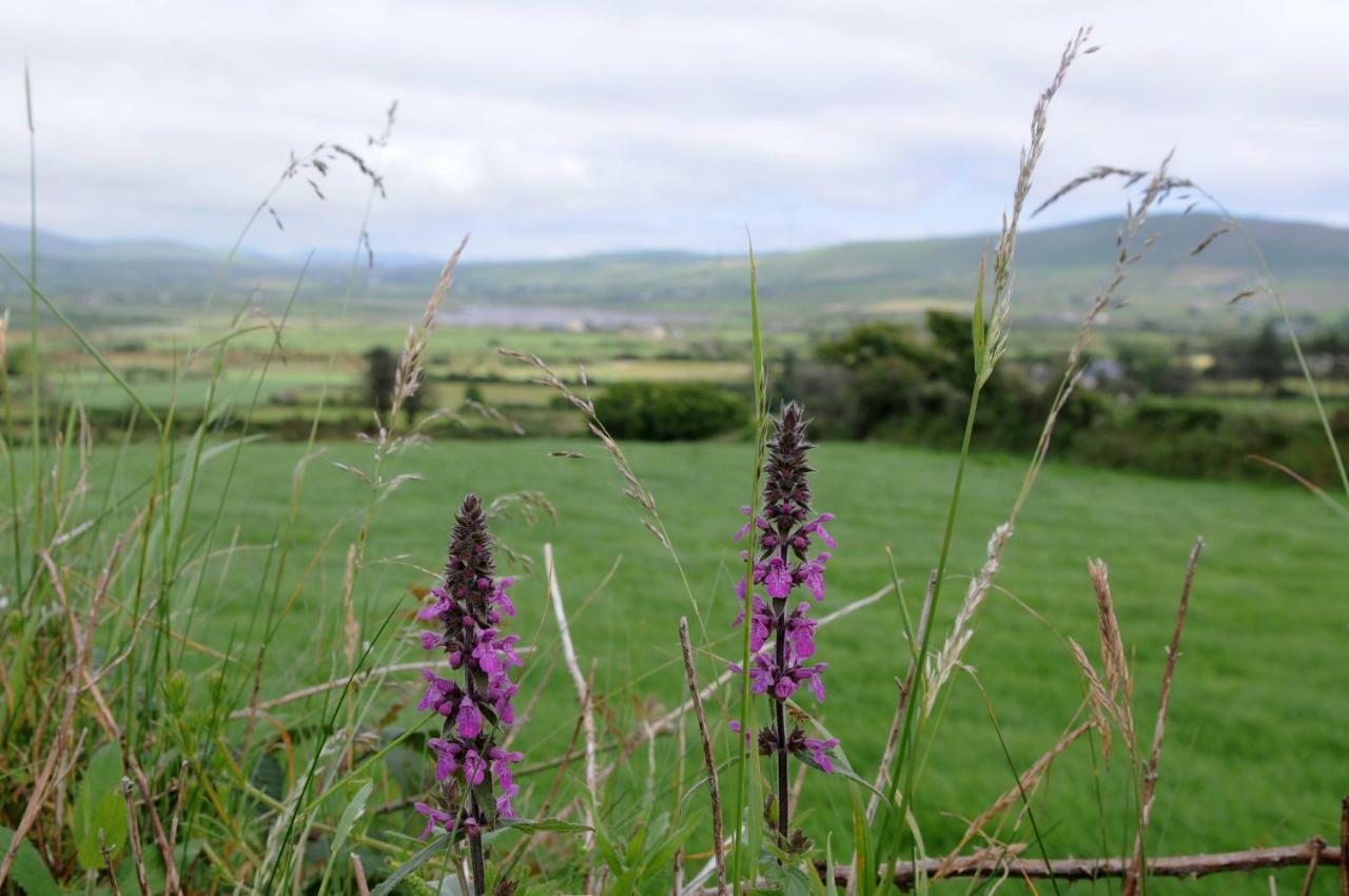 Short Strand Dingle Emlagh East Dış mekan fotoğraf